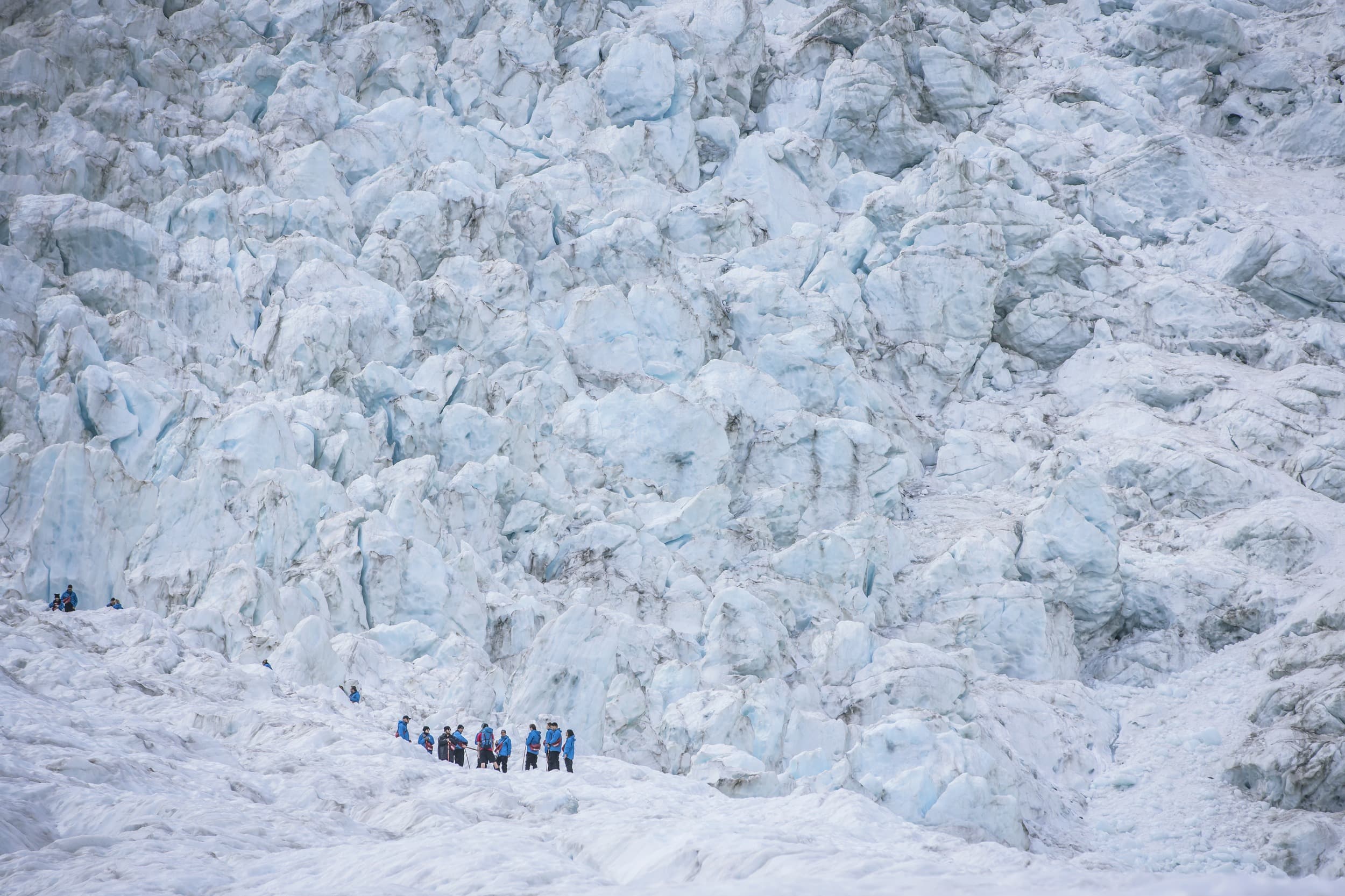 The Expedition