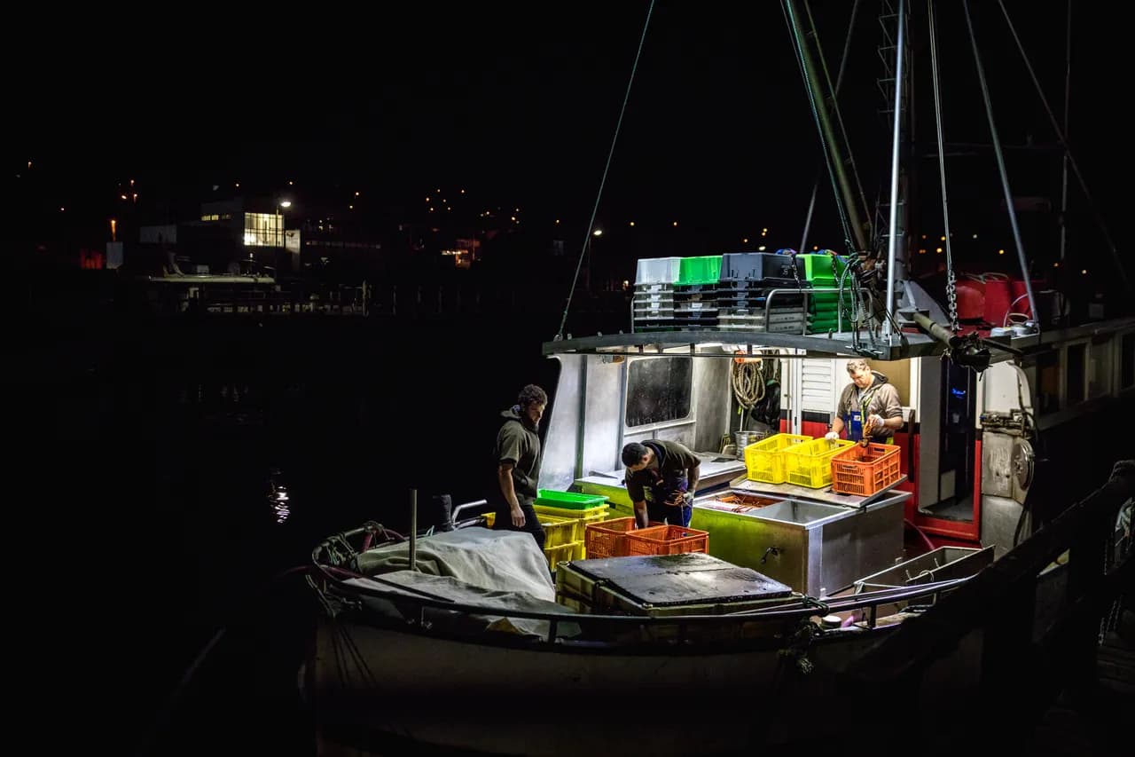 New Zealand seafood: from Kaikōura crayfish to Bluff oysters