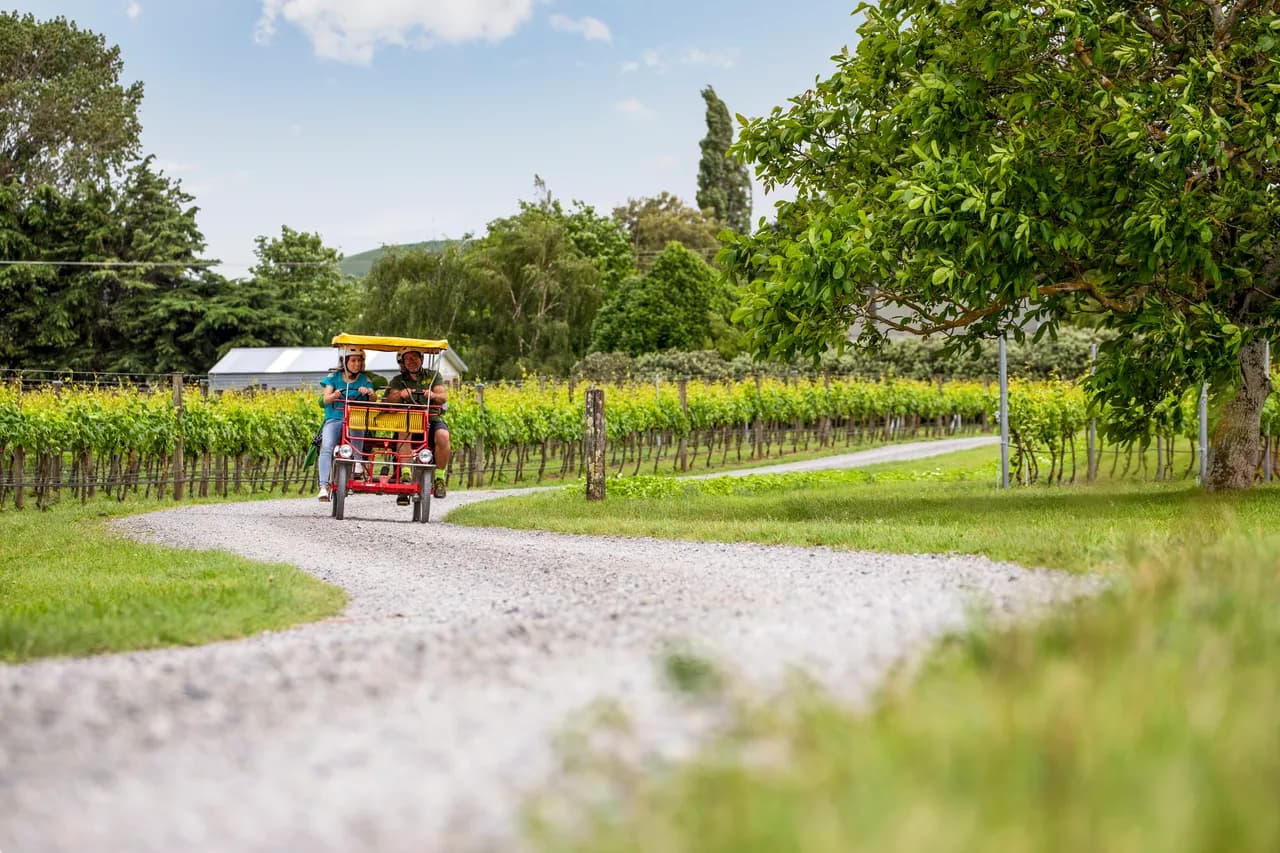 Wairarapa & Martinborough