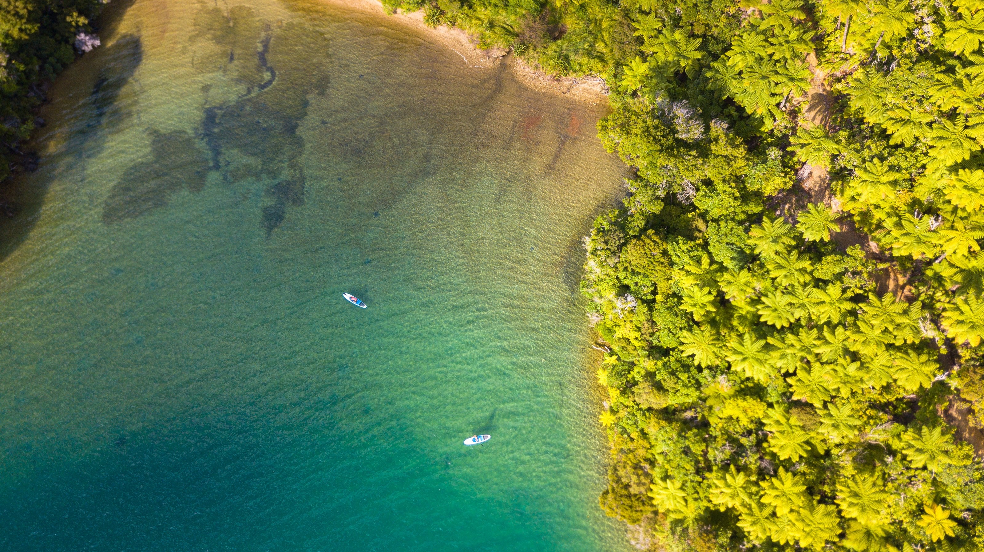 Marlborough Sounds from the air, drowned river valleys and sheltered inlets