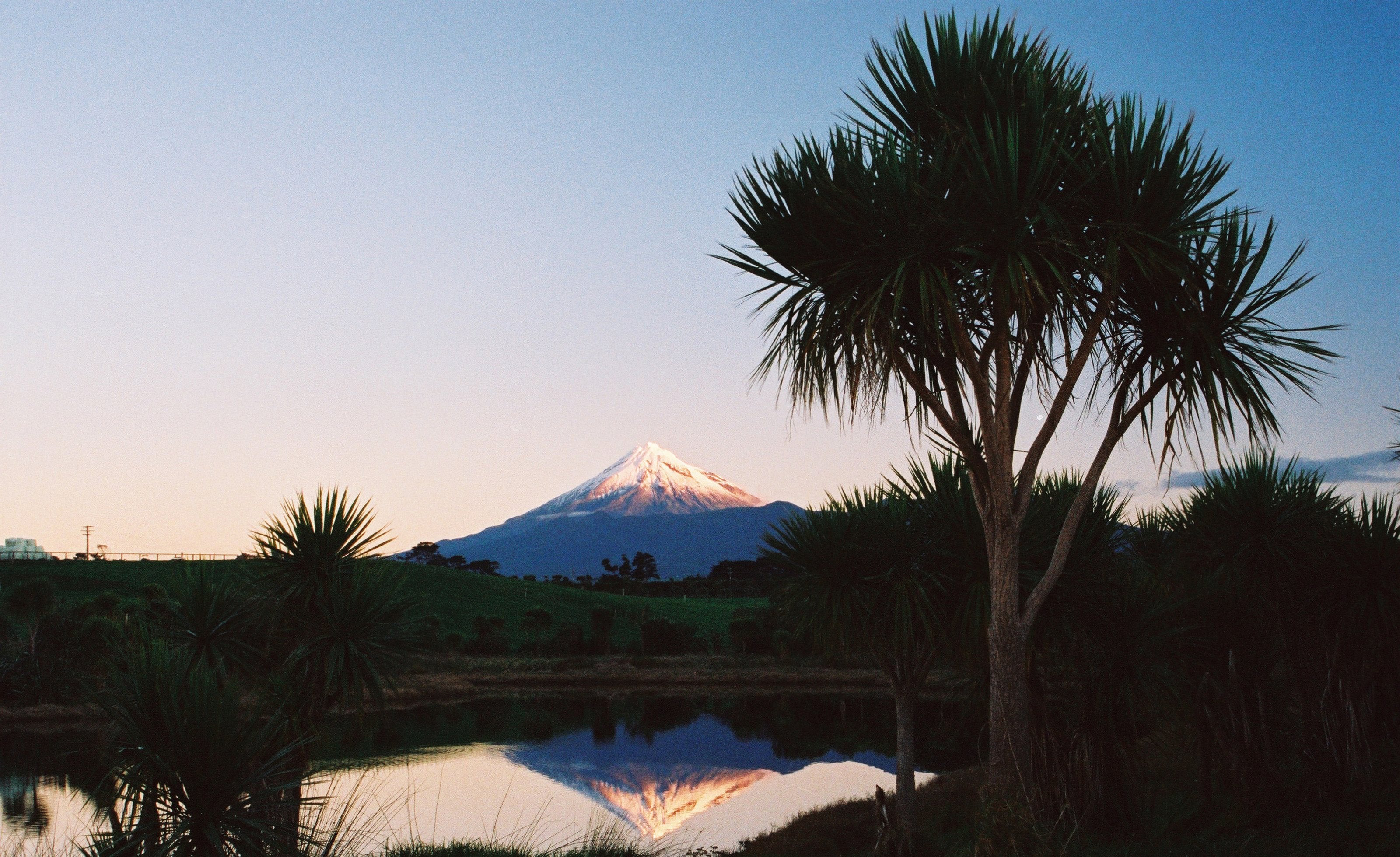 Mount Taranaki at dusk beyond cabbage trees, reflected in still water