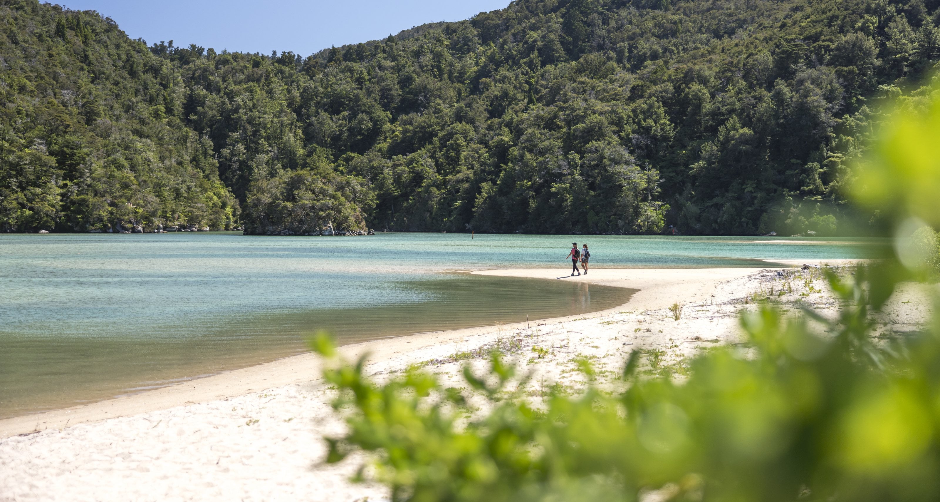 Two walkers on a white-sand beach beside clear water, forest to the shore, Nelson Tasman