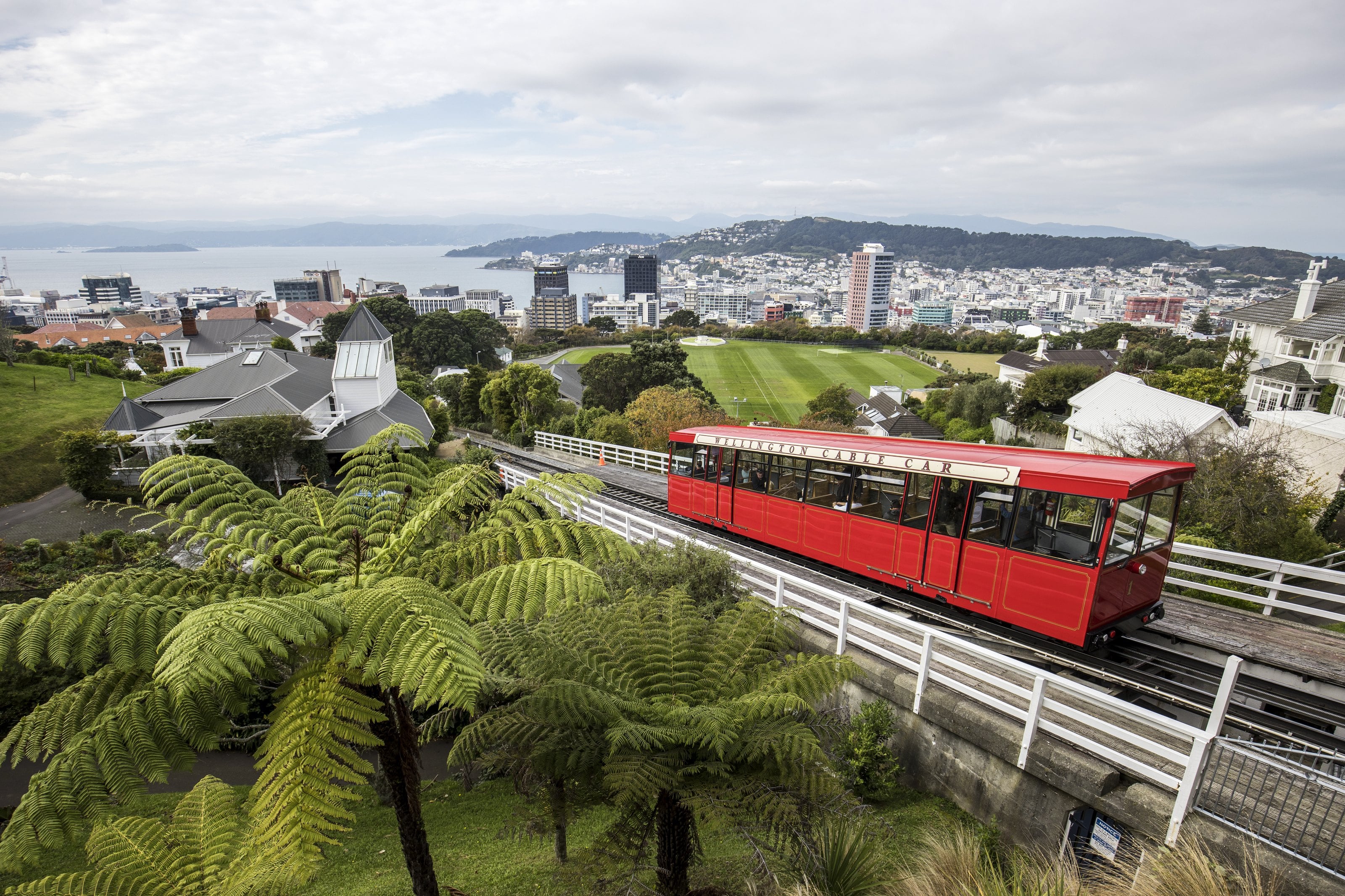 The red Wellington Cable Car above tree ferns, the city and harbour below