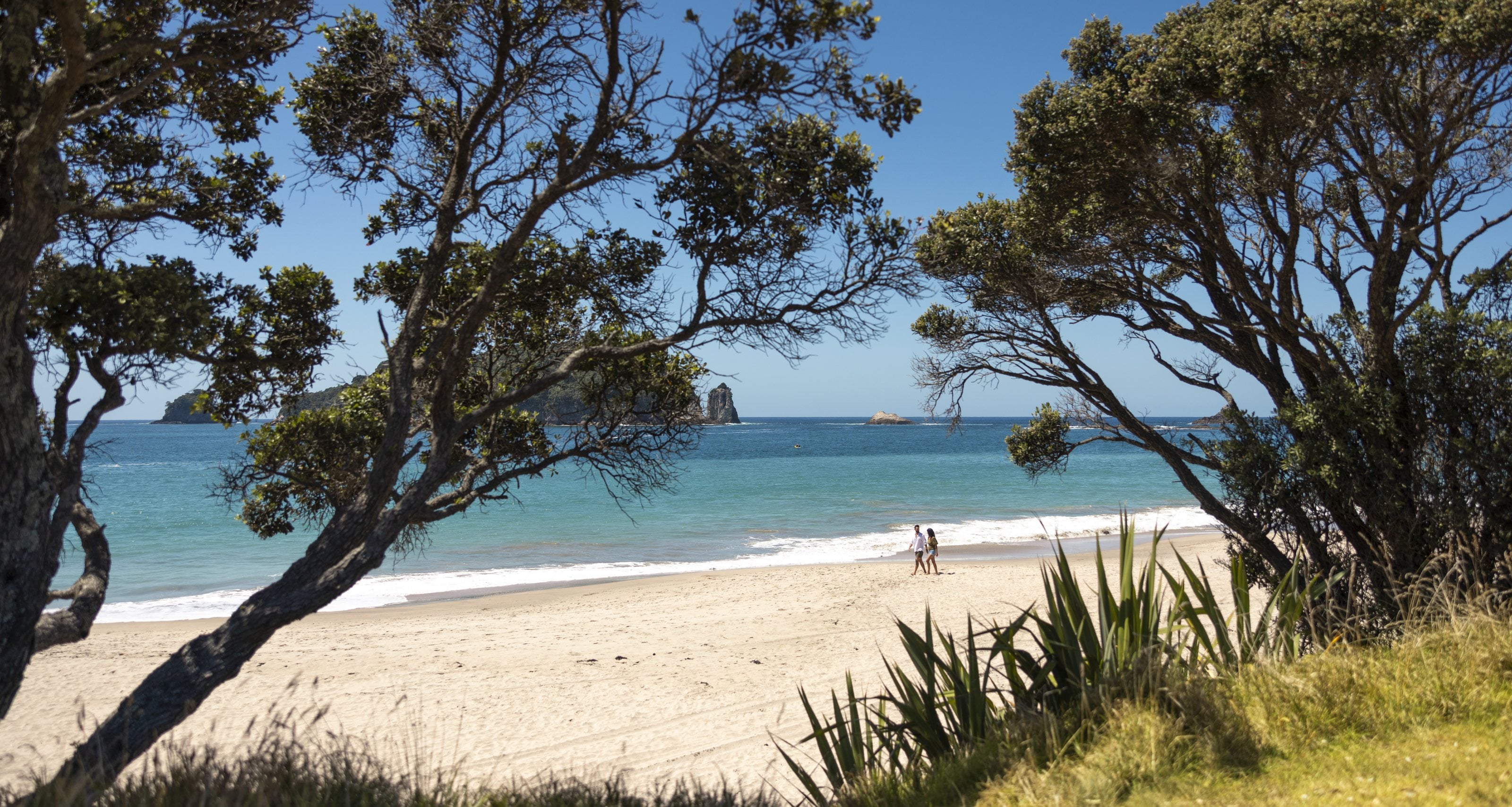 Two people on a white-sand beach beneath pōhutukawa, islands off the Coromandel coast