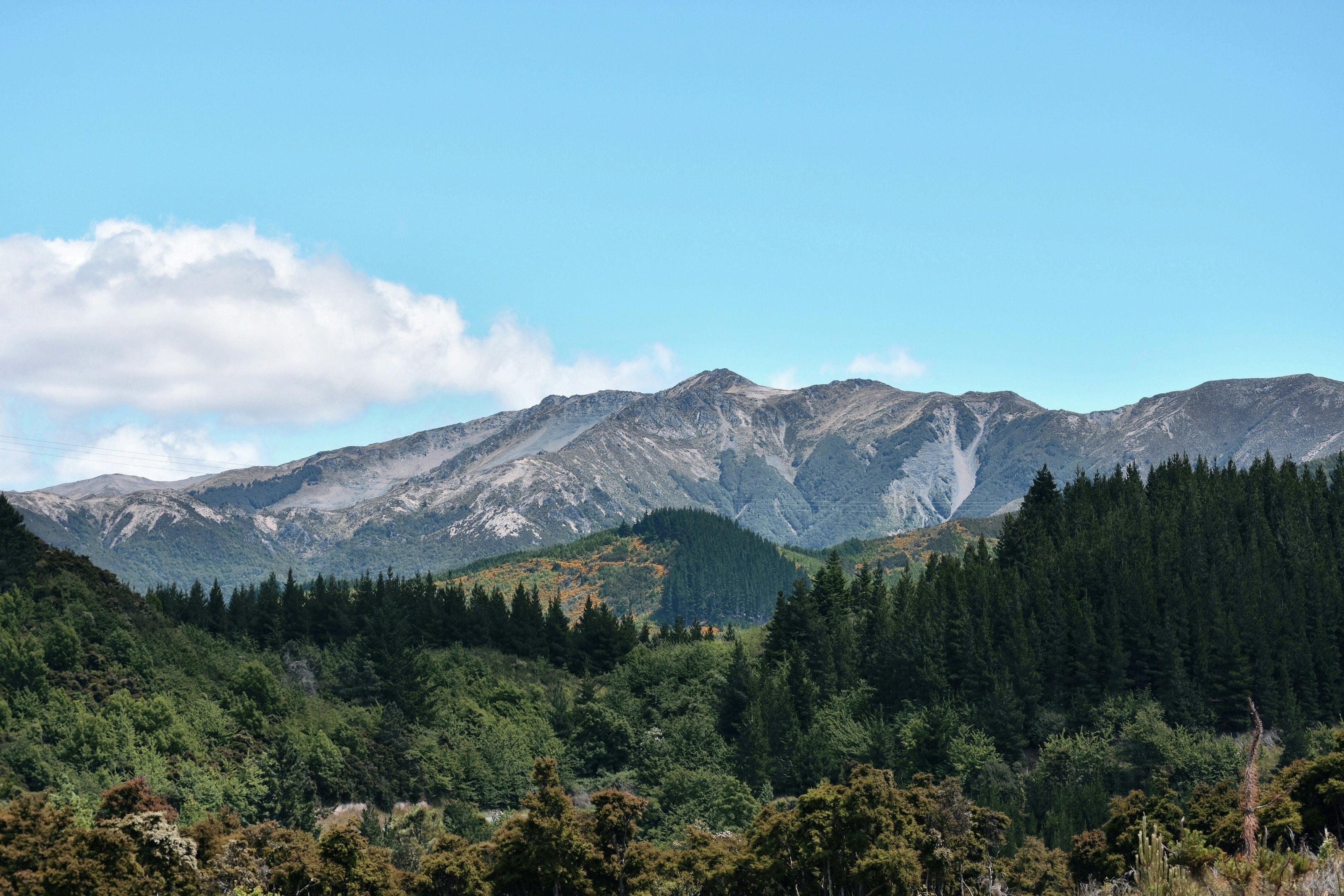 The Hanmer basin and ranges above the forest