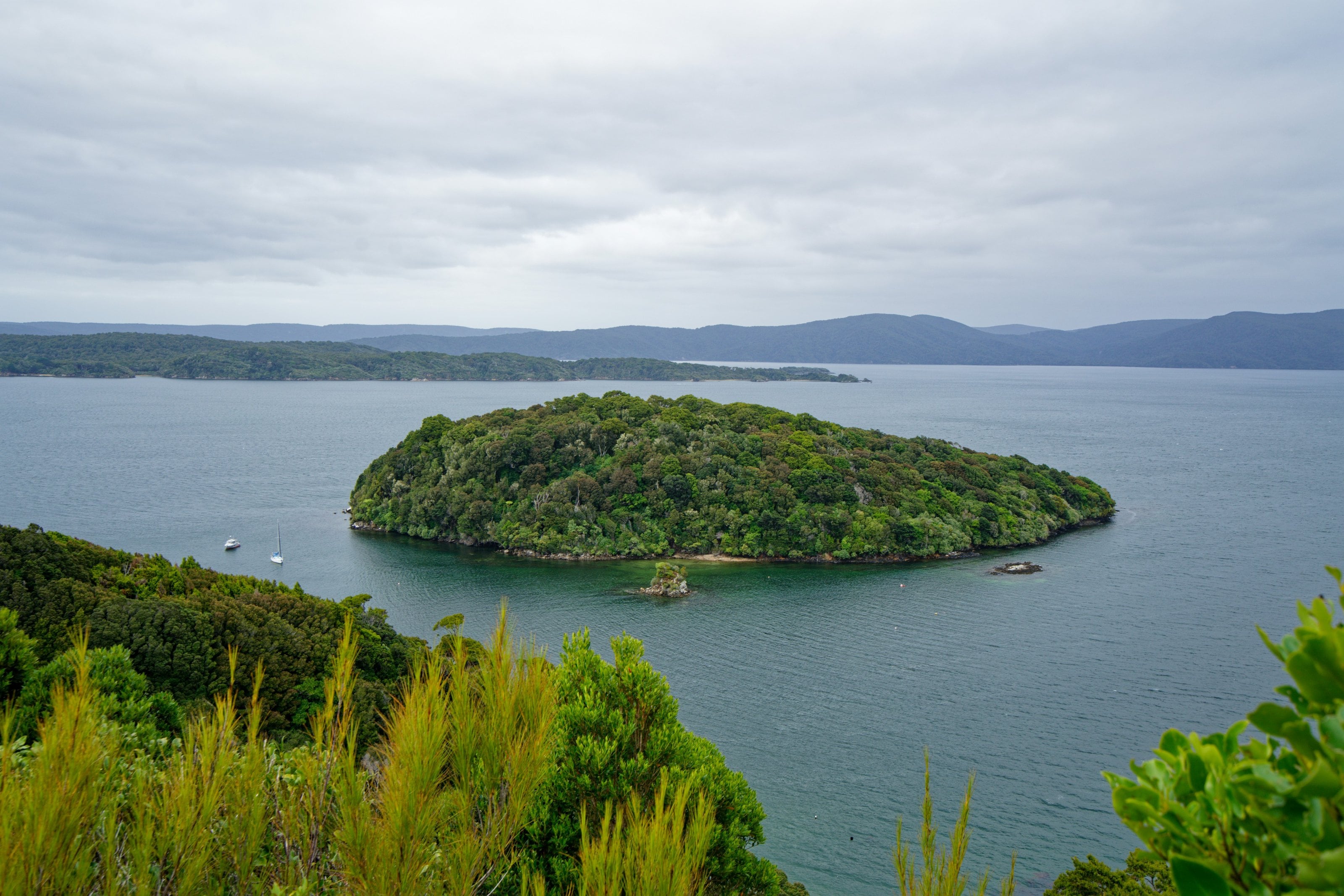 A bush-covered island in the still water of Paterson Inlet, Rakiura