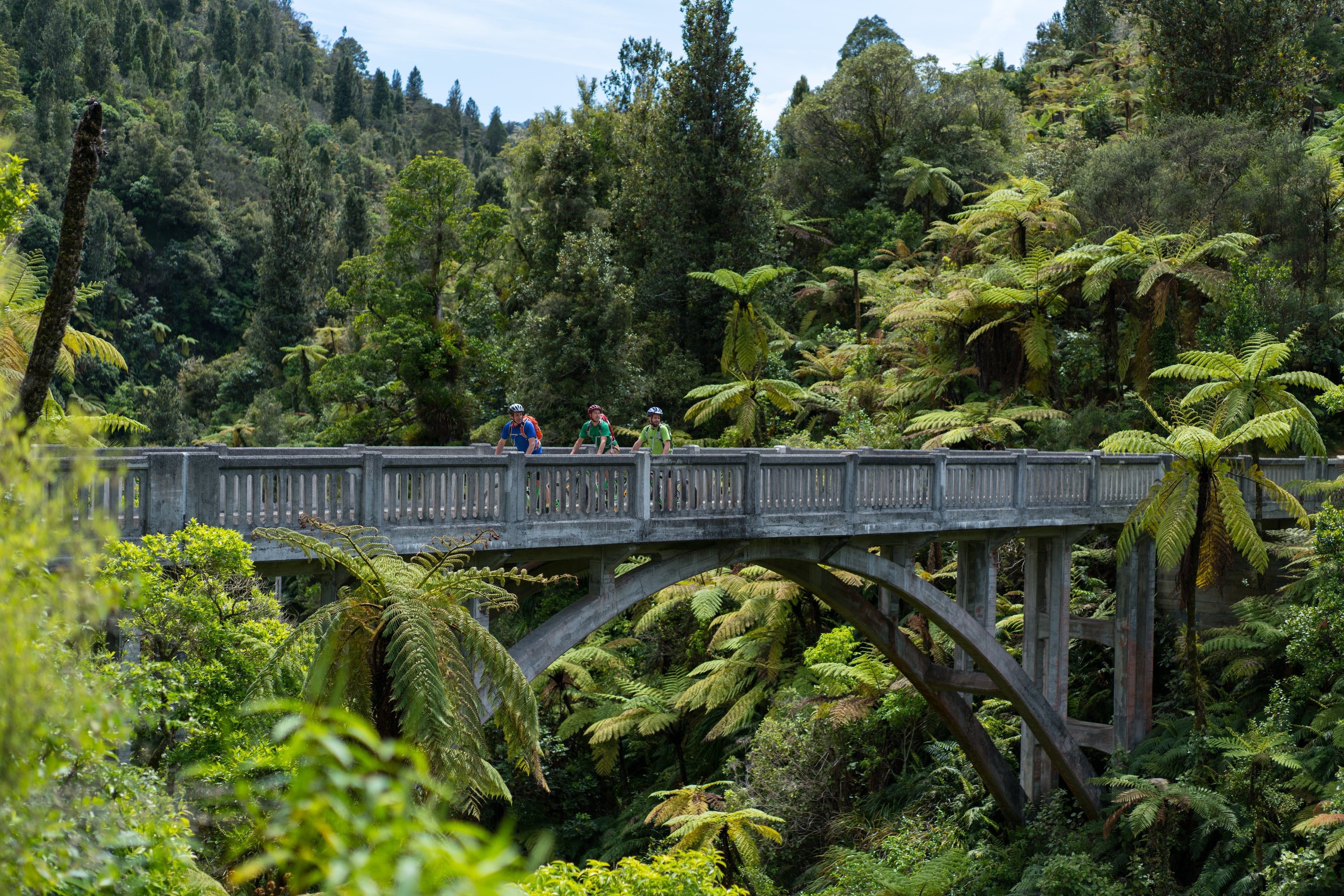The Bridge to Nowhere in the bush of Whanganui National Park