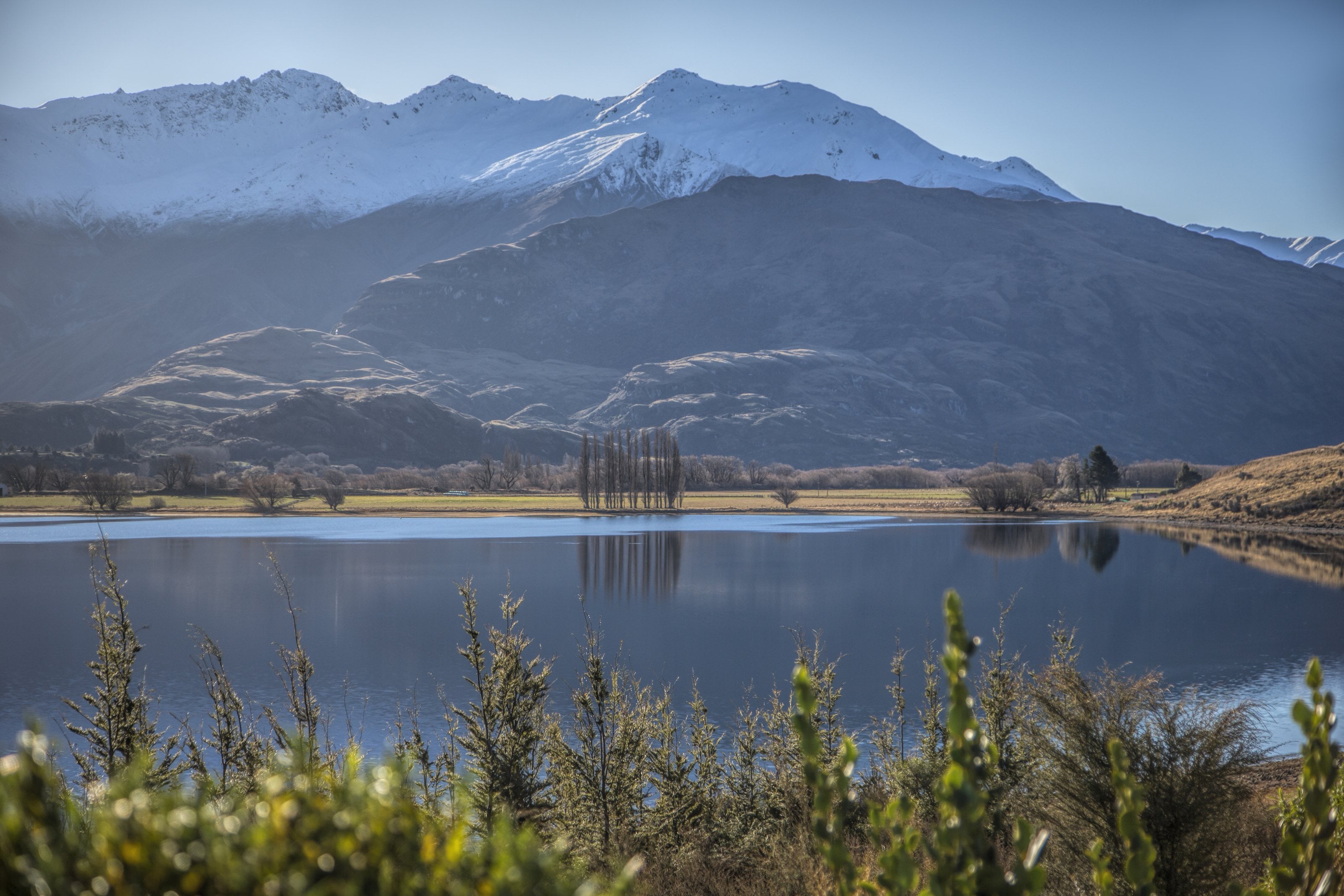 Poplars on the shore of a still lake below snow-covered ranges, Wānaka