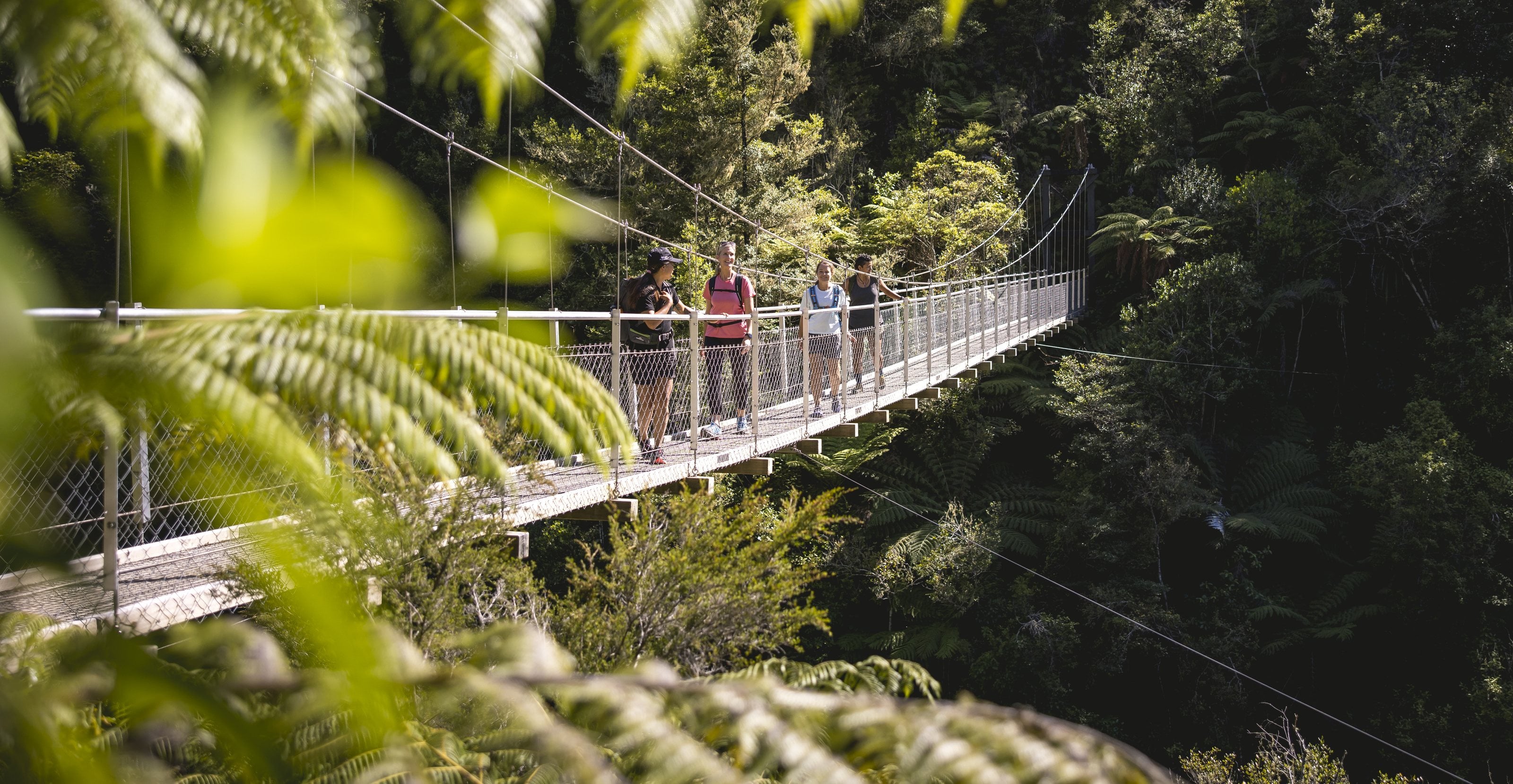 Walkers on a swing bridge through native forest