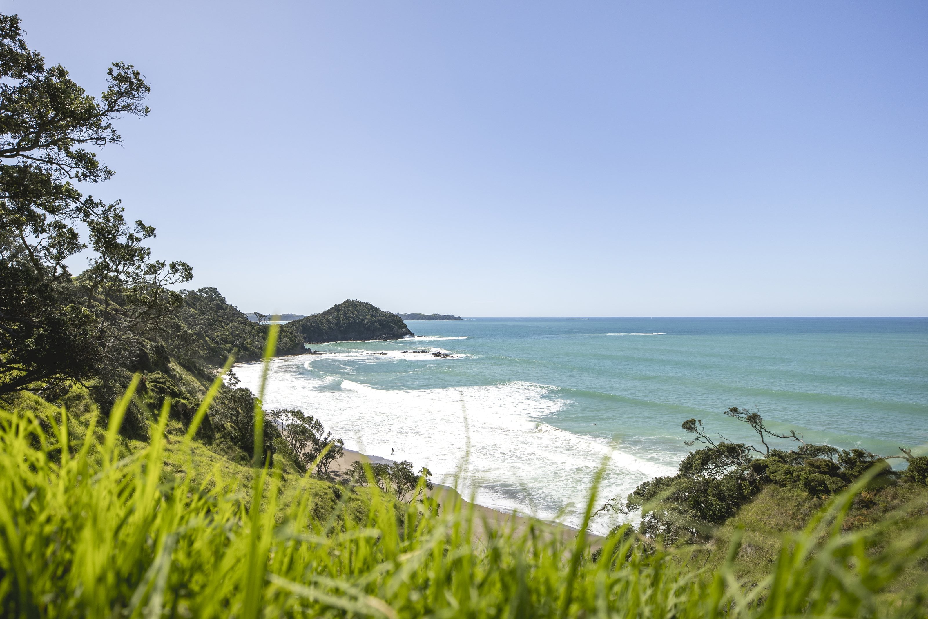 A surf beach below a bush-covered headland on a clear day