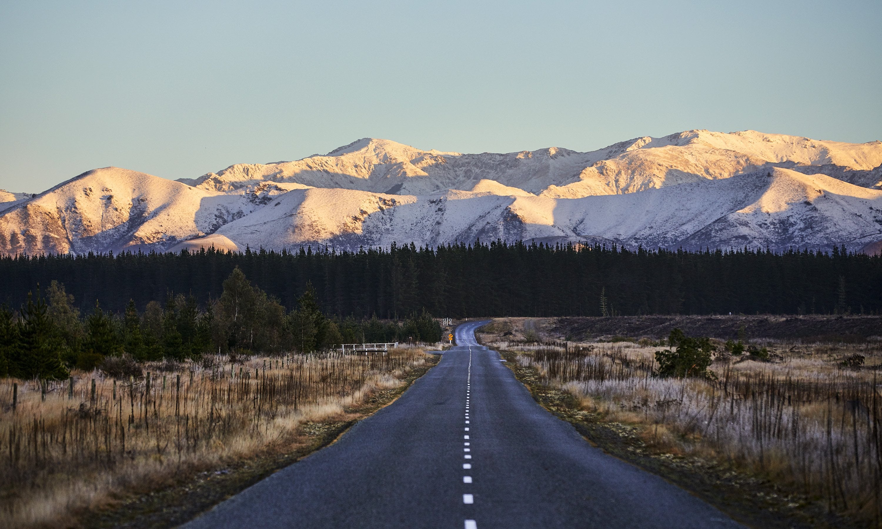 An empty road running straight toward snow-covered ranges at first light, pine forest between