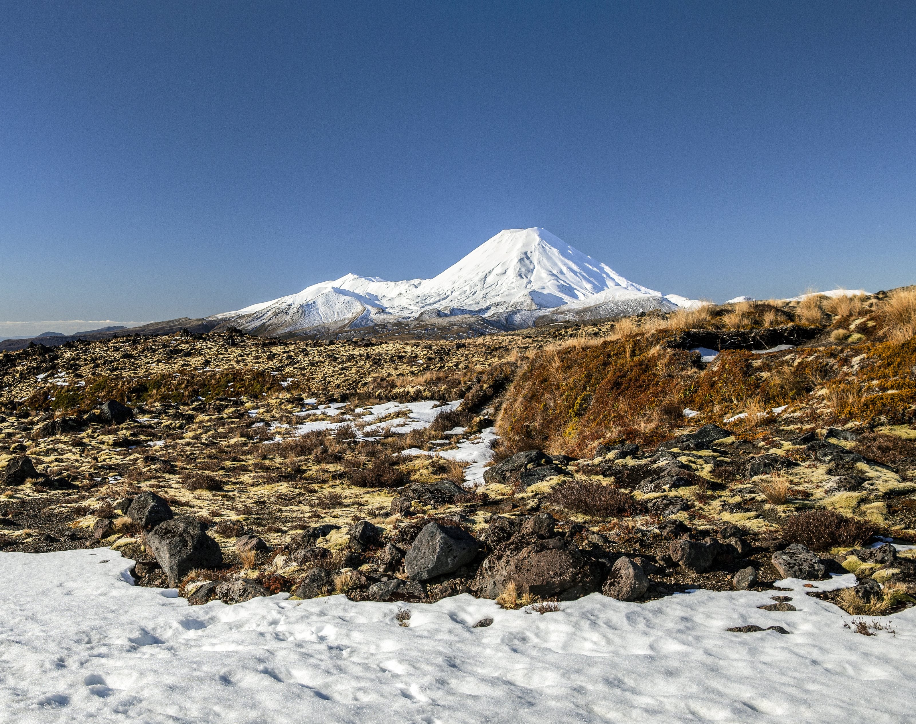 A snow-covered volcanic cone above tussock and lava rock, Tongariro National Park