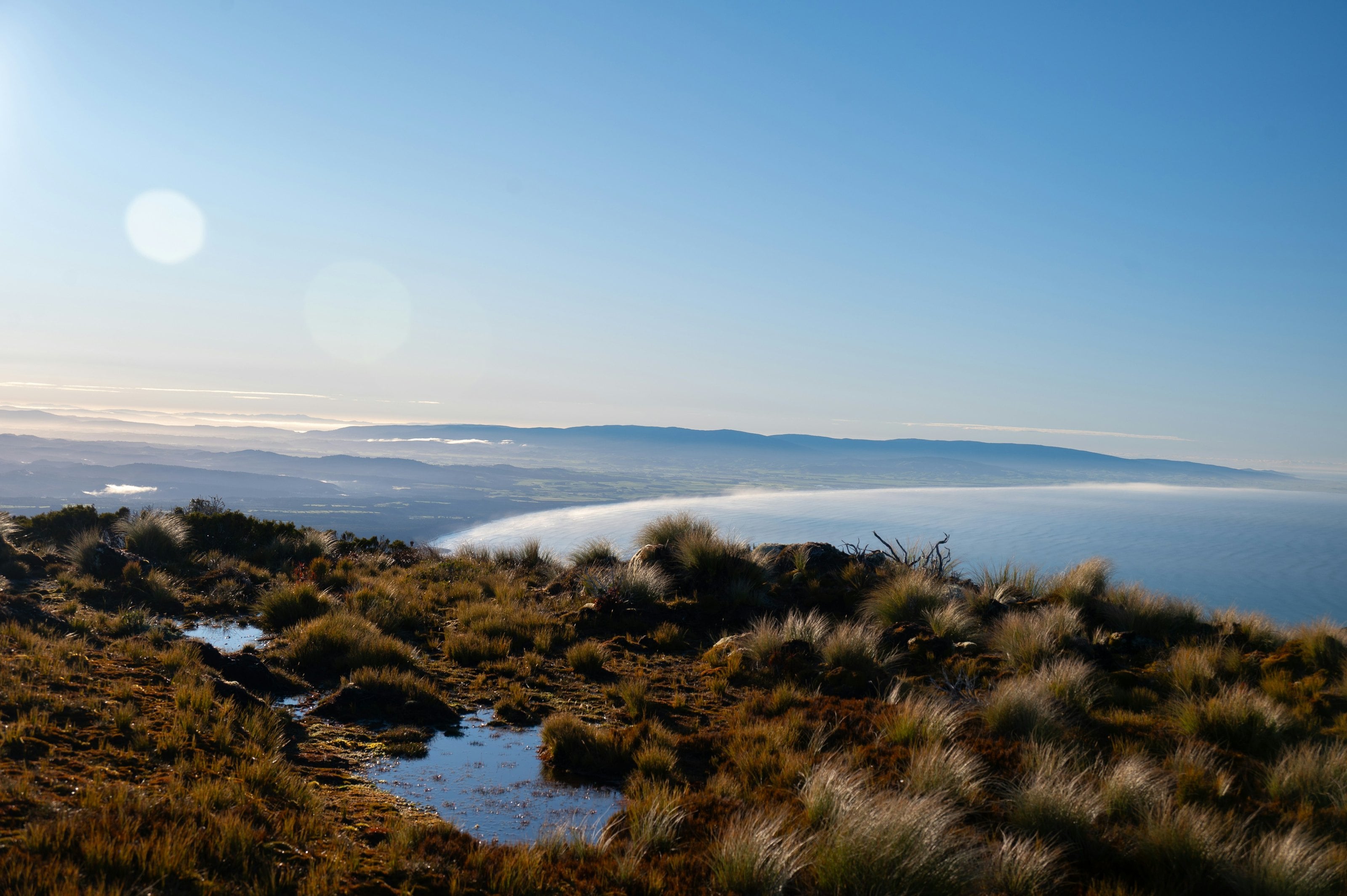 The Hump Ridge above the Southland coast