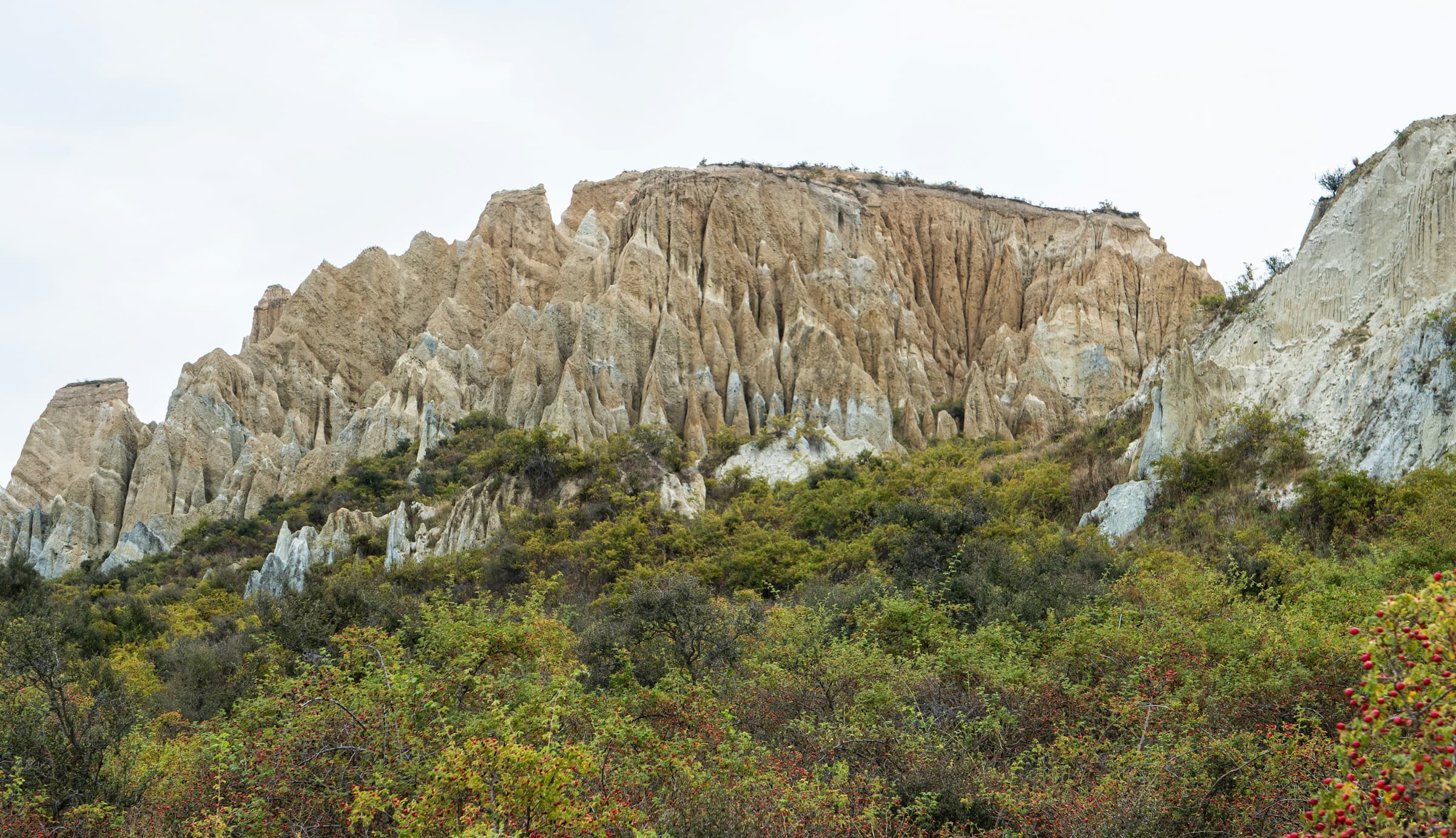 Waitaki Valley