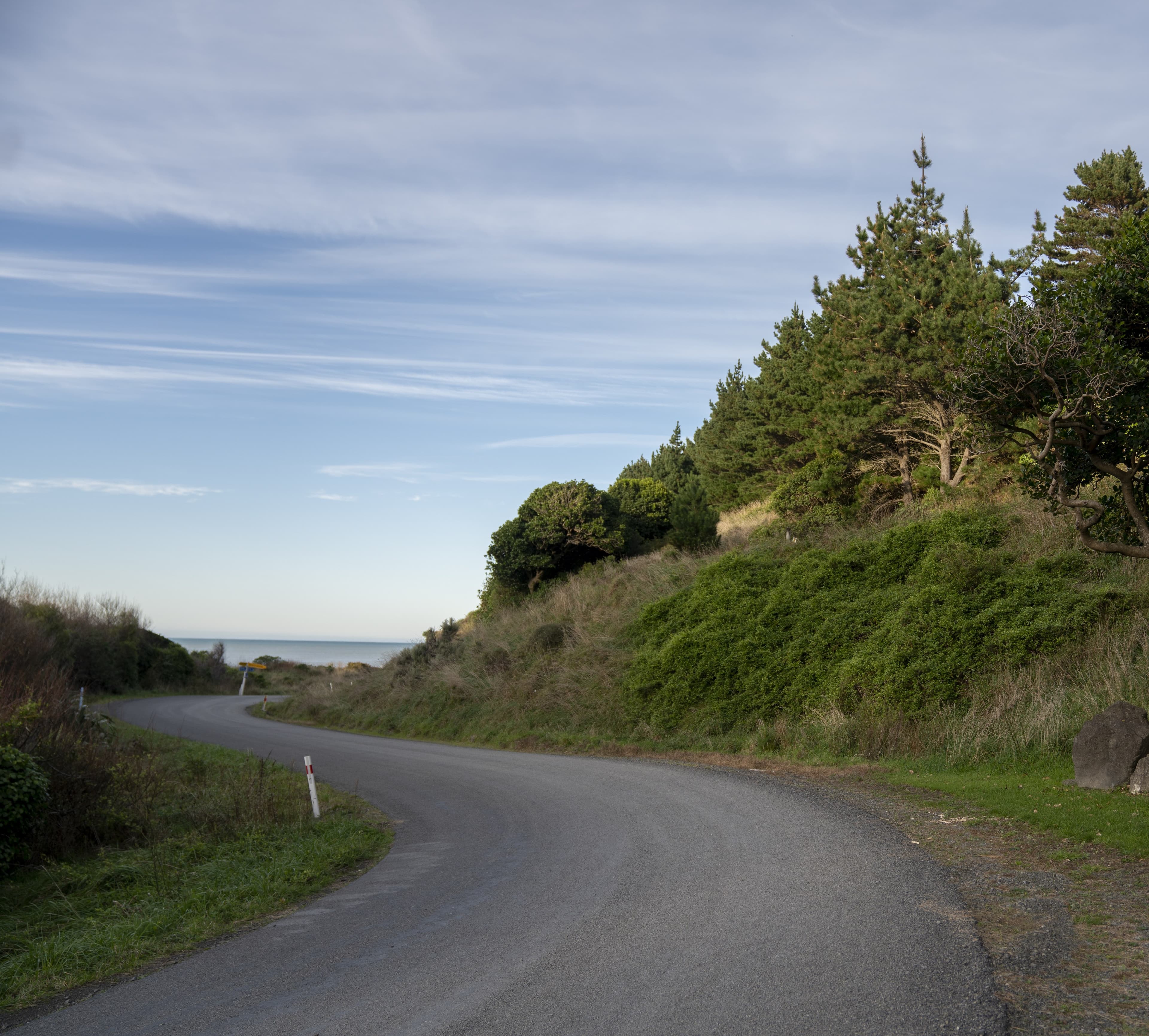 Driving in New Zealand: what makes it one of the world's great drives