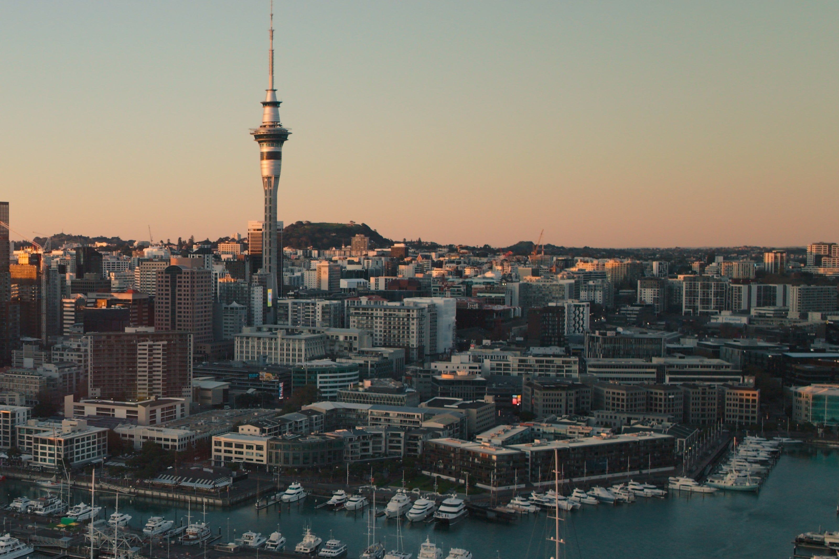 Things to do in Auckland, in the city and beyond